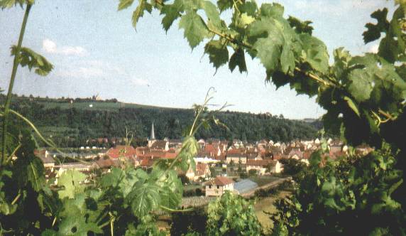 Segnitz vom
Weinberg